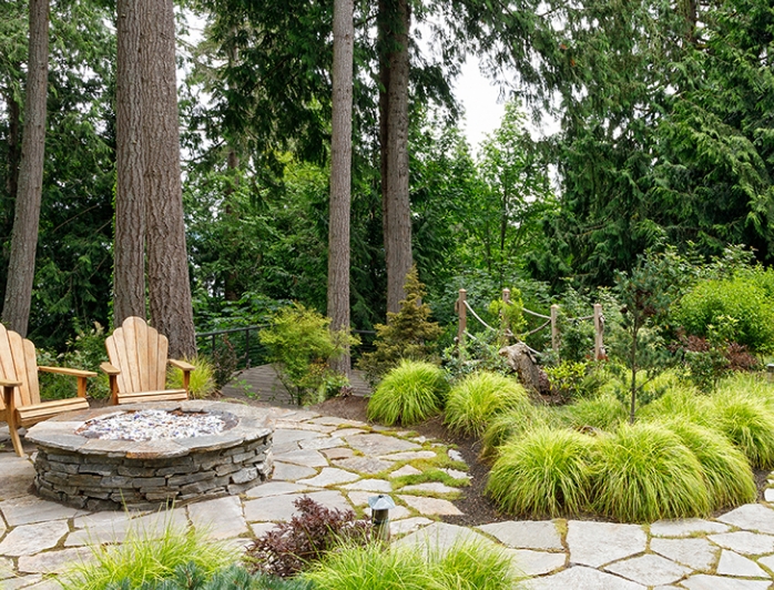 woodland backyard ideas