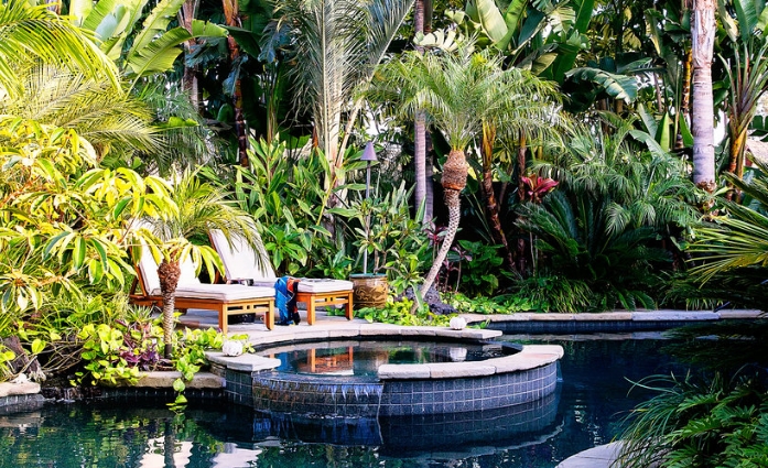 beautiful tropical backyards