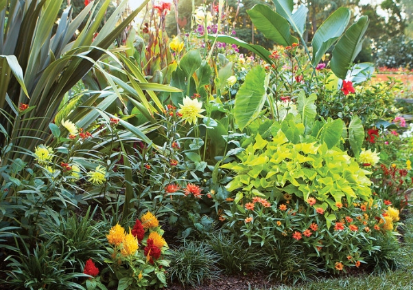 tropical garden border design