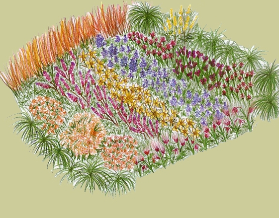 prairie planting design