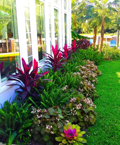 tropical garden bed designs