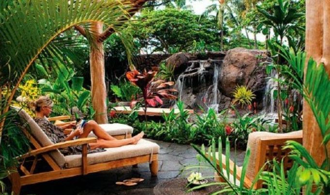 beautiful tropical backyards