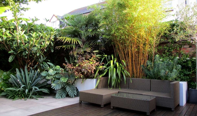 contemporary tropical garden