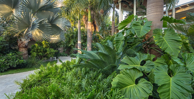 best tropical landscape design