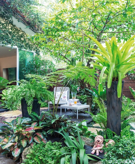 beautiful tropical backyards