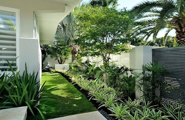 tropical modern garden