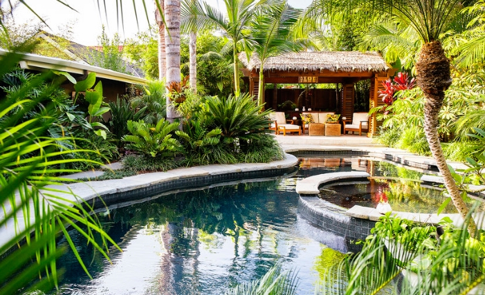 backyard tropical