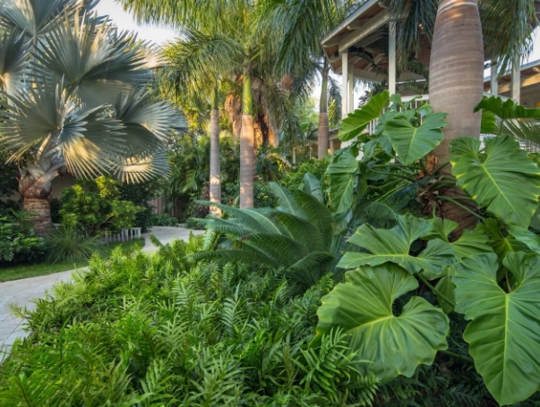 tropical garden design