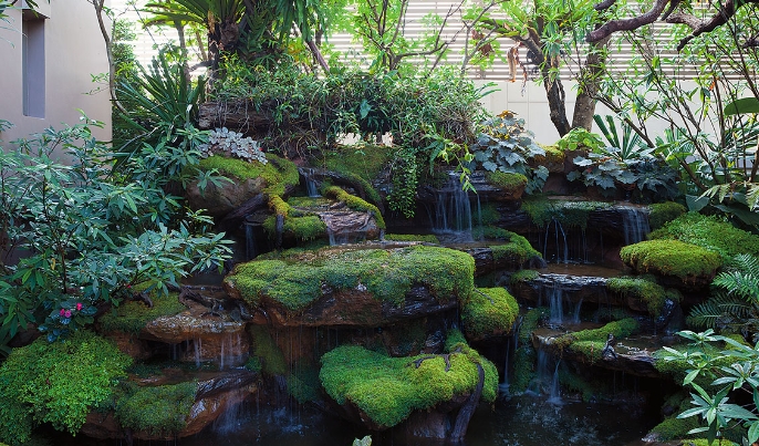 backyard jungle tropical landscapes