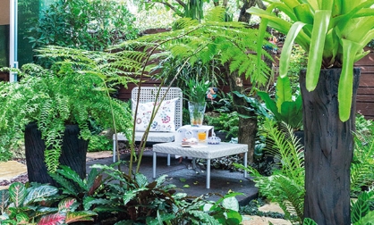 tropical garden design