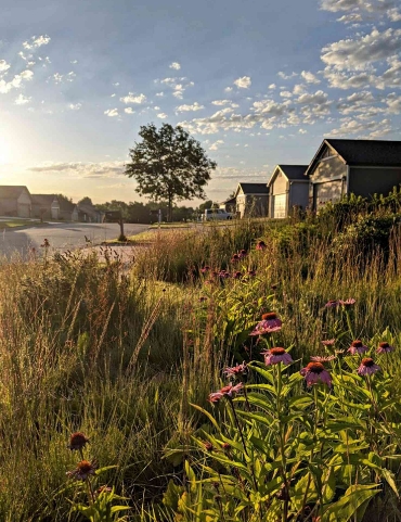 prairie grass landscaping ideas