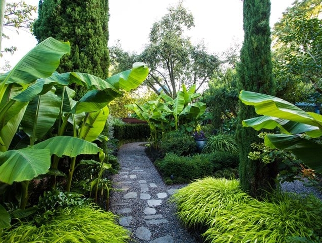 backyard tropical garden design