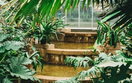 tropical garden design