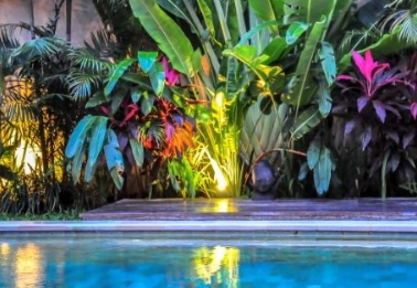 tropical landscape and design