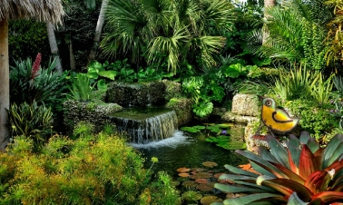 tropical landscape and design