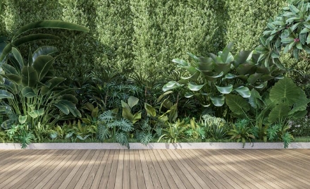 tropical landscape design