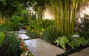 tropical landscape design