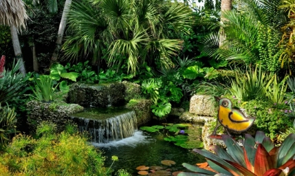 tropical gardens landscape