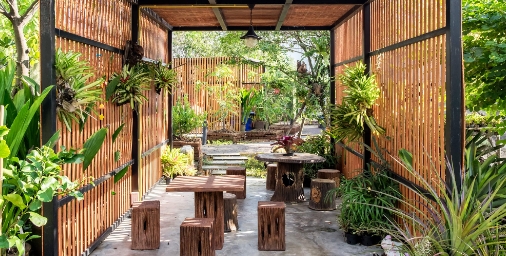 backyard tropical garden design