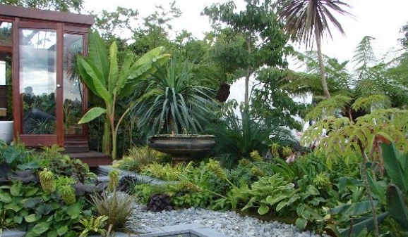 backyard jungle tropical landscapes