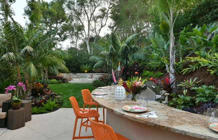 tropical backyard landscape