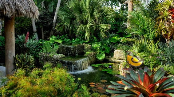 backyard tropical garden design