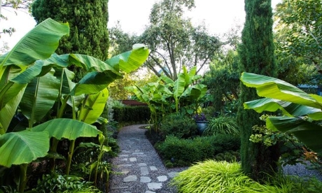 tropical landscape design