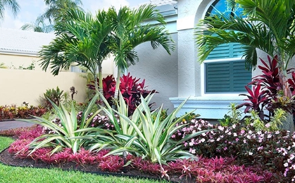 tropical landscape design