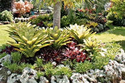 tropical gardens landscape