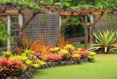 tropical gardens landscape