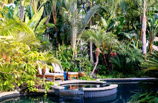 beautiful tropical backyards