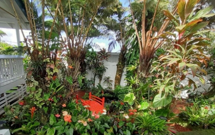 anthurium garden & landscape design