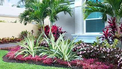 tropical landscape and design