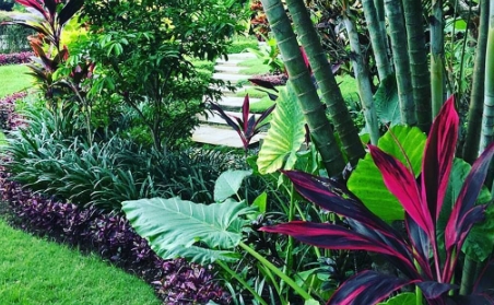 tropical landscape design