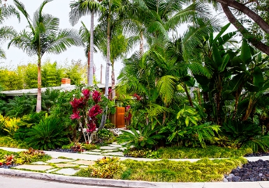 tropical gardens landscape