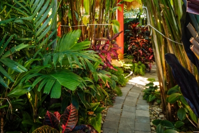 tropical gardens landscape