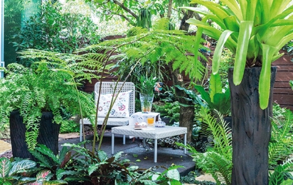 tropical garden design