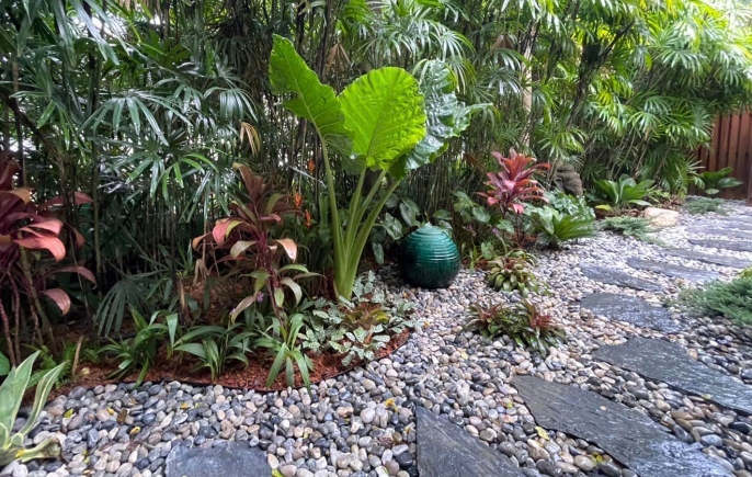 backyard tropical garden