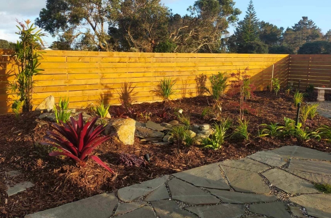 backyard tropical garden