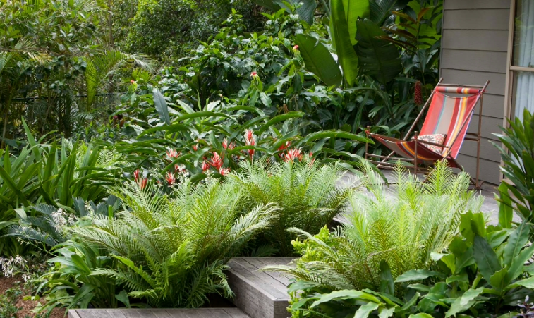 beautiful tropical backyards