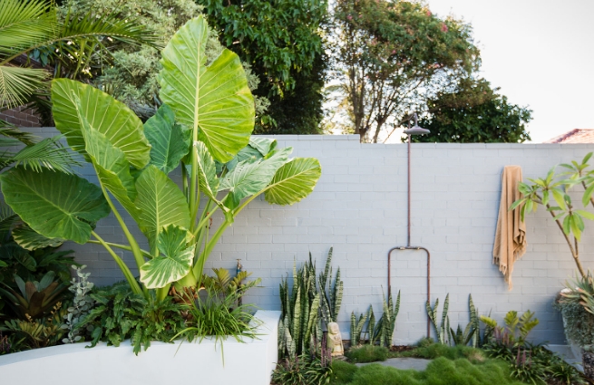 tropical garden design