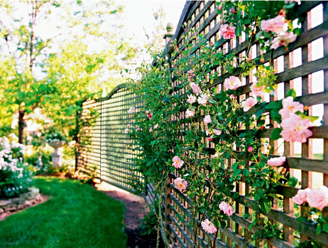 decorative garden fencing ideas