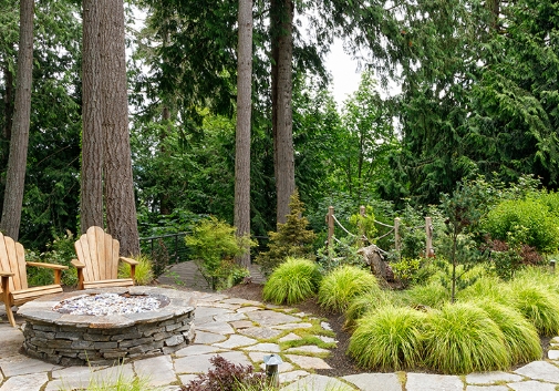 backyard woodland garden plan