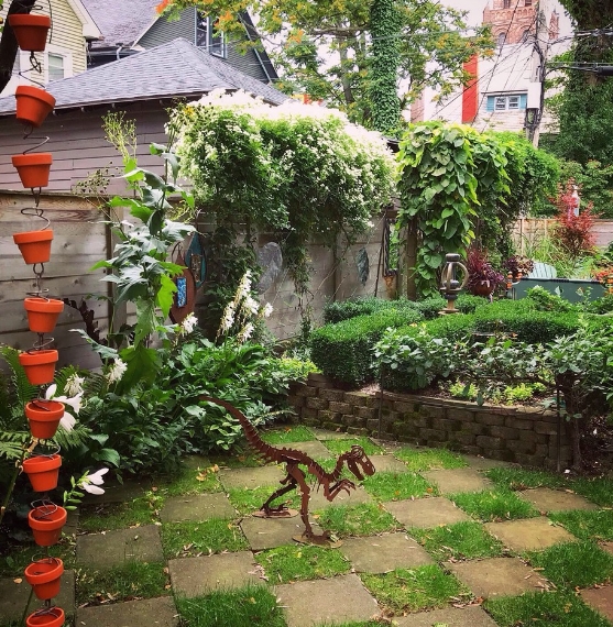 elephant ear garden design