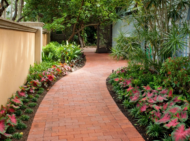 residential tropical landscape design