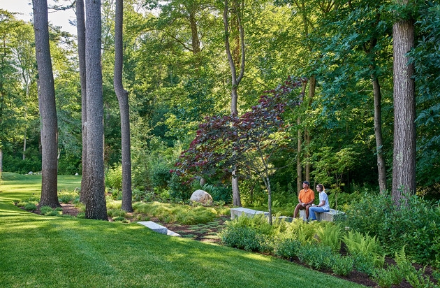 backyard woodland garden design