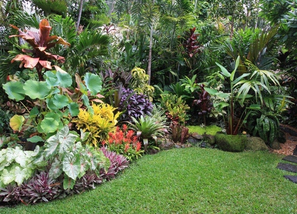 simple tropical garden