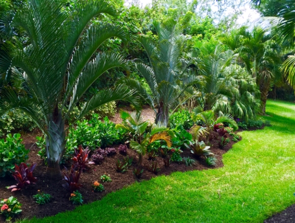 tropical backyard design