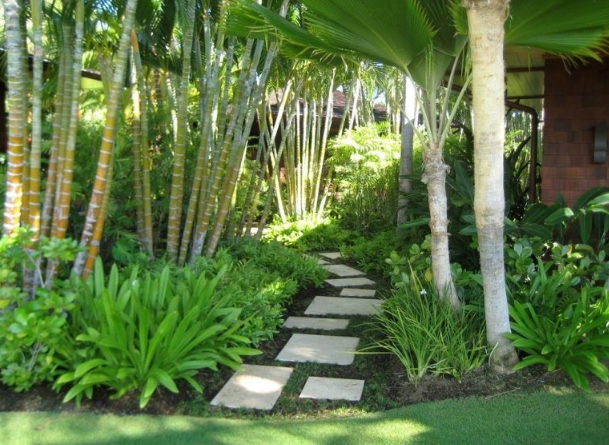tropical designs and landscaping