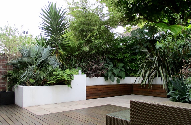 modern tropical garden